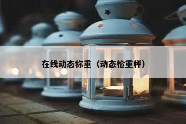 在線動態稱重(動態檢重秤)