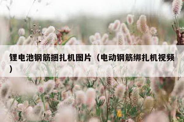 鋰電池鋼筋捆扎機圖片(電動鋼筋綁扎機視頻)