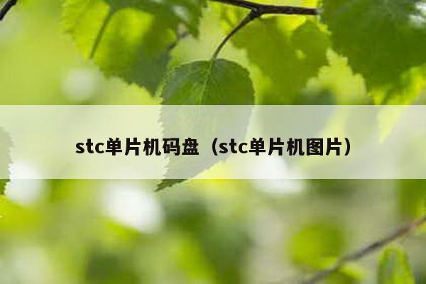 stc單片機碼盤(stc單片機圖片)