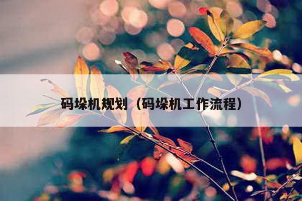 碼垛機規劃(碼垛機工作流程)