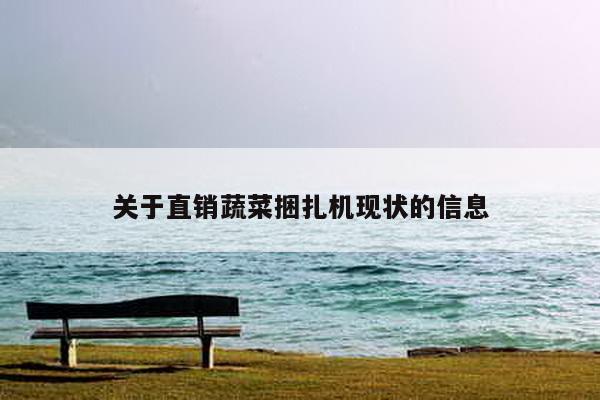 關于直銷蔬菜捆扎機現狀的信息