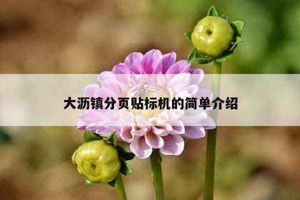 大瀝鎮分頁貼標機的簡單介紹