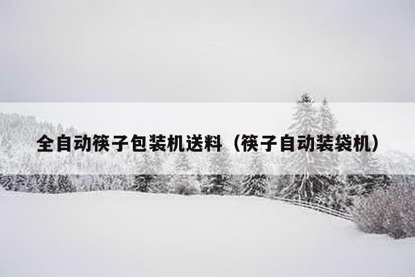 全自動筷子包裝機送料(筷子自動裝袋機)