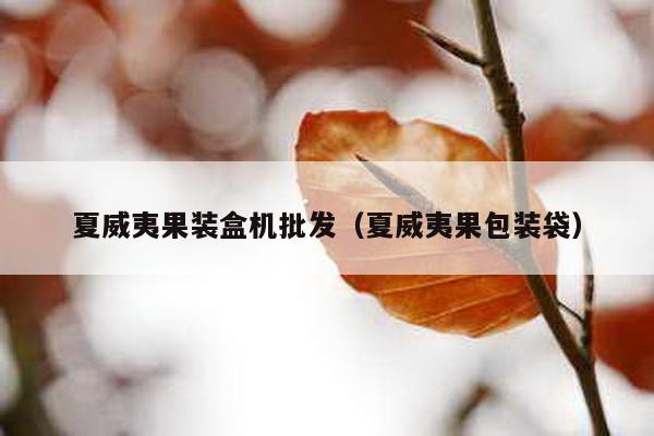 夏威夷果裝盒機批發(夏威夷果包裝袋)