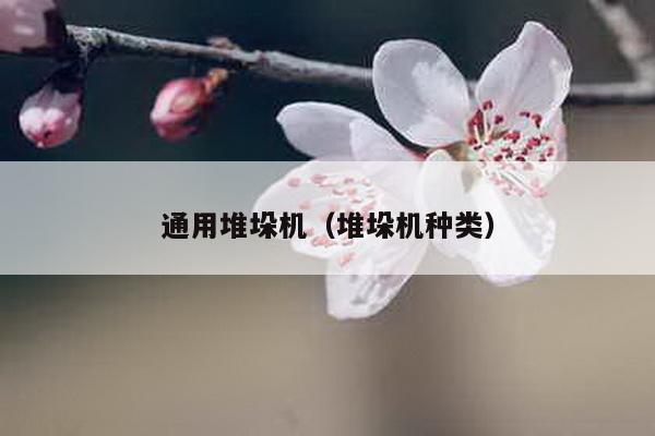 通用堆垛機(堆垛機種類)