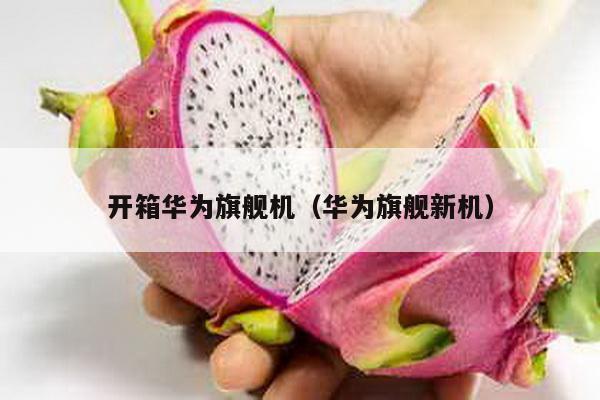 開箱華為旗艦機(華為旗艦新機)