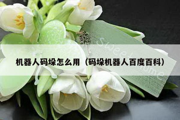 機器人碼垛怎么用(碼垛機器人百度百科)