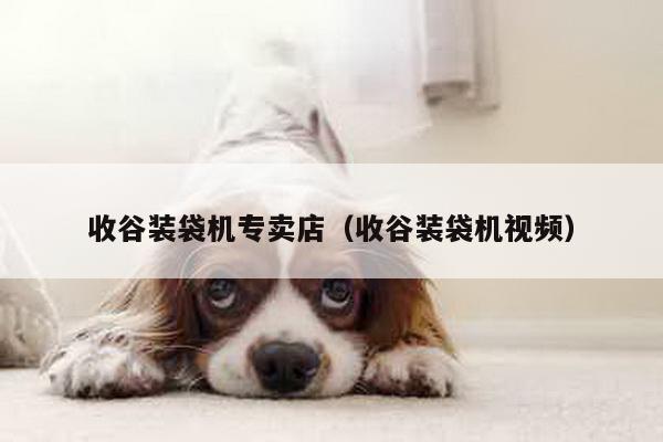 收谷裝袋機專賣店(收谷裝袋機視頻)