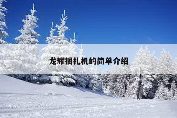 龍耀捆扎機的簡單介紹