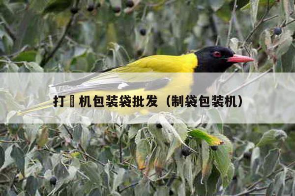 打梱機(jī)包裝袋批發(fā)(制袋包裝機(jī))