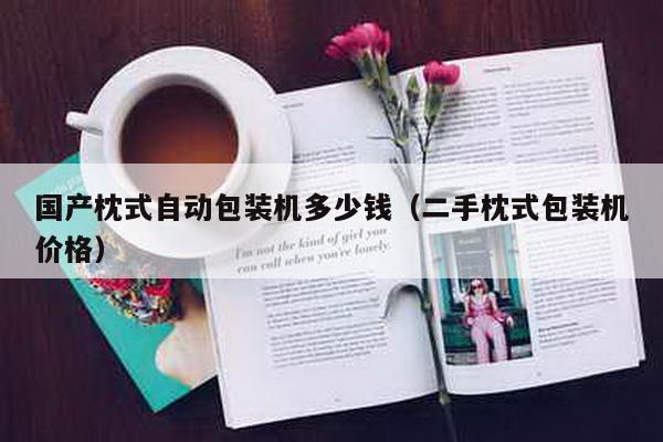國產枕式自動包裝機多少錢(二手枕式包裝機價格)