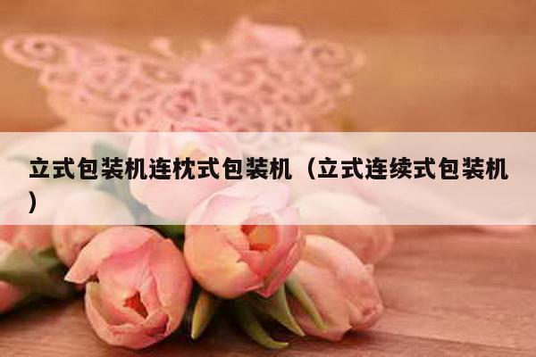 立式包裝機連枕式包裝機(立式連續式包裝機)
