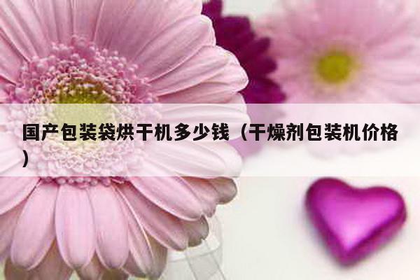 國產包裝袋烘干機多少錢(干燥劑包裝機價格)