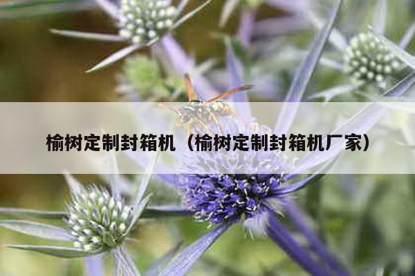 榆樹定制封箱機(榆樹定制封箱機廠家)