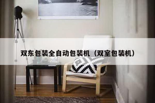 雙東包裝全自動包裝機(雙室包裝機)