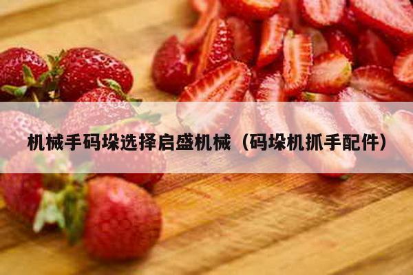 機械手碼垛選擇啟盛機械(碼垛機抓手配件)