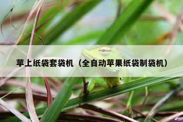 蘋上紙袋套袋機(全自動蘋果紙袋制袋機)
