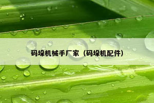 碼垛機械手廠家(碼垛機配件)
