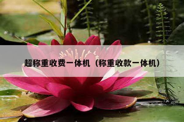 超稱重收費一體機(稱重收款一體機)