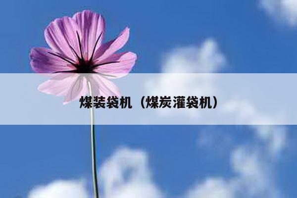 煤裝袋機(jī)(煤炭灌袋機(jī))