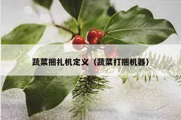 蔬菜捆扎機定義(蔬菜打捆機器)