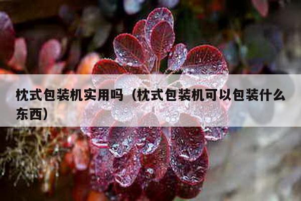枕式包裝機實用嗎(枕式包裝機可以包裝什么東西)