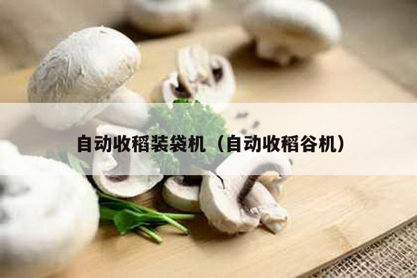 自動(dòng)收稻裝袋機(jī)(自動(dòng)收稻谷機(jī))