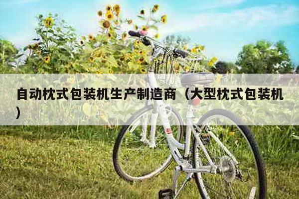 自動枕式包裝機生產制造商(大型枕式包裝機)