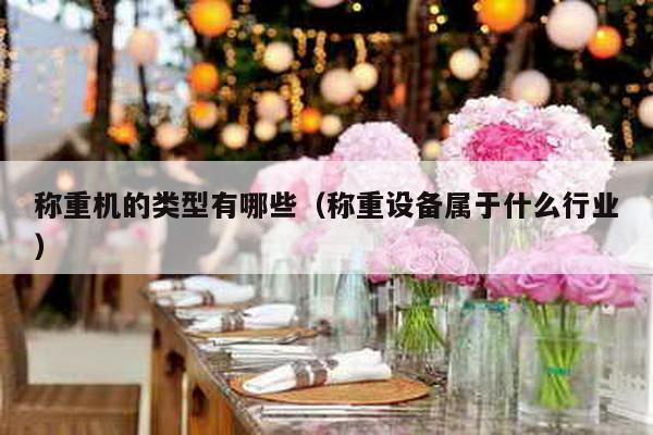 稱重機(jī)的類型有哪些(稱重設(shè)備屬于什么行業(yè))