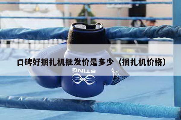 口碑好捆扎機批發價是多少(捆扎機價格)