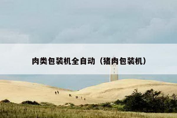 肉類包裝機全自動(豬肉包裝機)