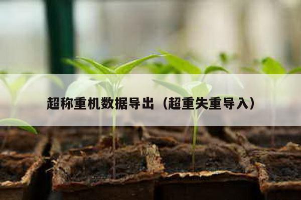 超稱重機數(shù)據(jù)導(dǎo)出(超重失重導(dǎo)入)
