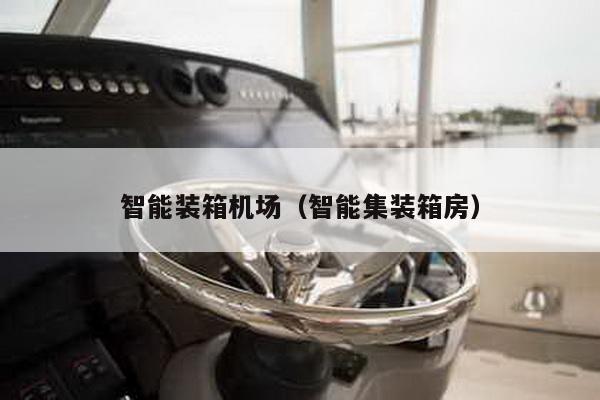 智能裝箱機(jī)場(chǎng)(智能集裝箱房)