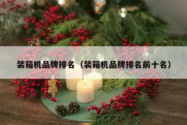 裝箱機品牌排名(裝箱機品牌排名前十名)