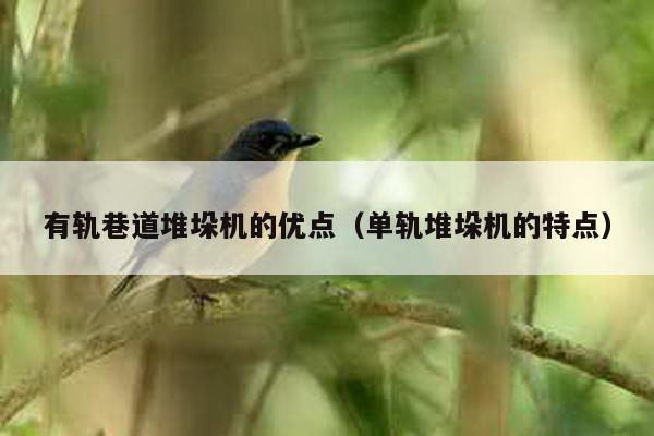 有軌巷道堆垛機的優點(單軌堆垛機的特點)