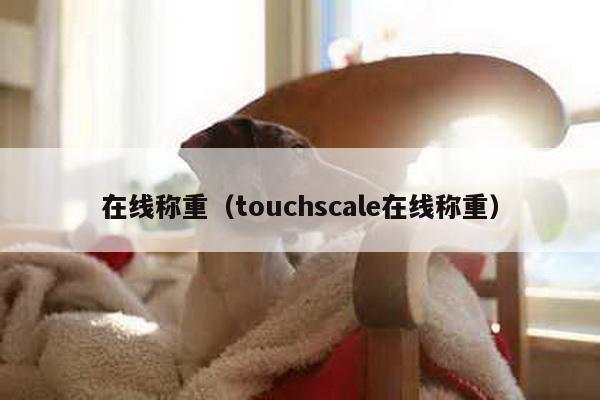 在線稱重(touchscale在線稱重)
