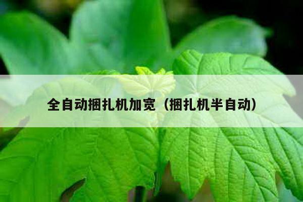 全自動捆扎機加寬(捆扎機半自動)